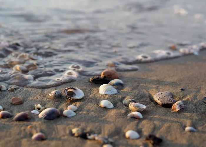 Delightful Seaside Flat With Ac - Beahost Апартаменты Бибионе